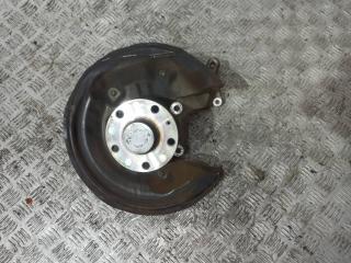 кулак задний левый Volkswagen Passat B6 2007, 2.0 л., дизель, передний привод